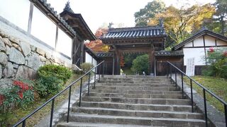 紅葉も良いが、他の季節も良さそう