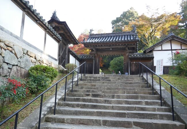 紅葉も良いが、他の季節も良さそう