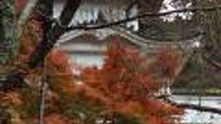 紅葉がみごとです