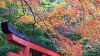 雰囲気がすごいです