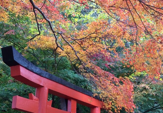 有子山稲荷神社