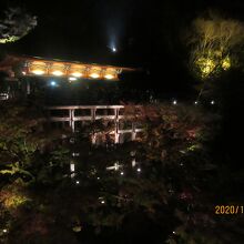 下から見た清水の舞台