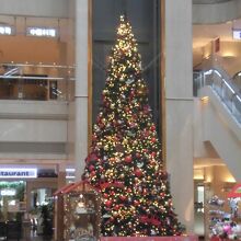 マーケットプレイスには、クリスマスツリーが