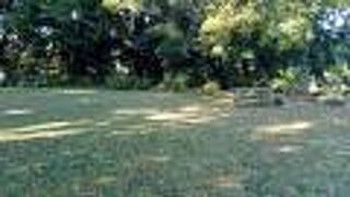 海が見える城跡