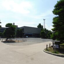 箱物が小さいのかも・・・