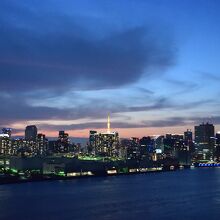 レインボーブリッジから見る東京の夜景
