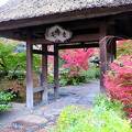 子連れでの京都観光＋温泉におすすめ。