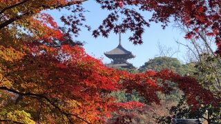 紅葉の名所です