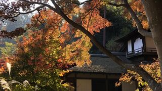 もとは舟遊びを想定していたようですが