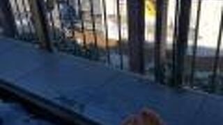 無料の足湯があります。