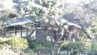 池のほとりに佇む