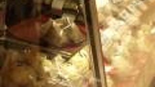 種類も豊富な中華まん