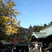 12月は御神木のイチョウが綺麗な黄色に染まる中で参拝