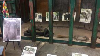 井の頭恩賜公園の動物園