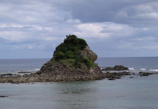 頭にソテツを乗せたゴリラ岩は海を見つめていました