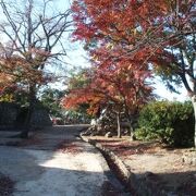 松坂城跡がある公園