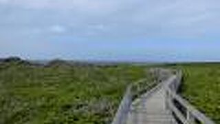 透明度はイマイチでしたが･･･トレイルが気持ちいい☆