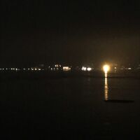 ライトアップされて1番光ってる辺りが神社