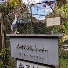 珍しい鳥たちが見られますが By Okaoka 龍河洞珍鳥センターのクチコミ フォートラベル