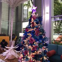 レセプションエリアのクリスマスツリー。