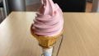 真夏に訪れ、日よけの止まり木効果満点！