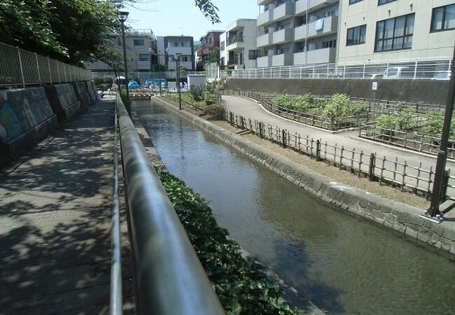 古石場川親水公園 クチコミ・アクセス・営業時間|門前仲町【フォー