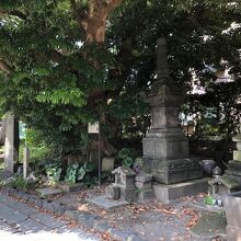 若宮大路、一の鳥居近く