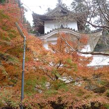 自ロトもみじがマッチング