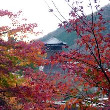 城跡から市内を見る