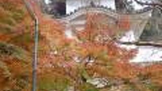 秋の出石を満喫