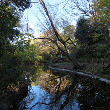 小さな庭園です
