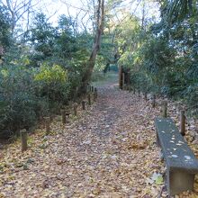 ベンチも少しだけありました