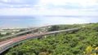 海へ駆け下りてくるような道