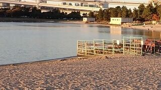 お台場海浜公園　泳ぐのか…