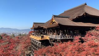 紅葉きれいですね