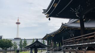 「東本願寺」から　京都タワー