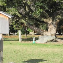 案内板とともに