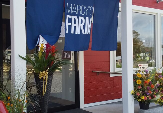 フレッシュなジェラートが味わえる