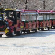 いつでも楽しめる大きな公園