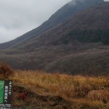 秋から芽吹きまではカヤトが広がる