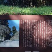 杉の大木が並ぶ昔ながらの道