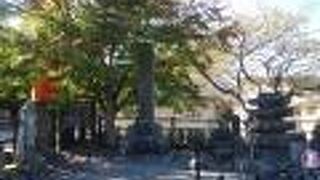 付近の石塔や石仏が集められていました