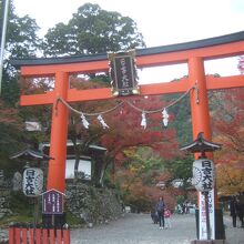 鳥居近くの紅葉が綺麗でした。