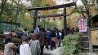 黒い鳥居が珍しい