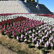 色鮮やかな花壇