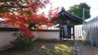 総門付近の紅葉が見事でした