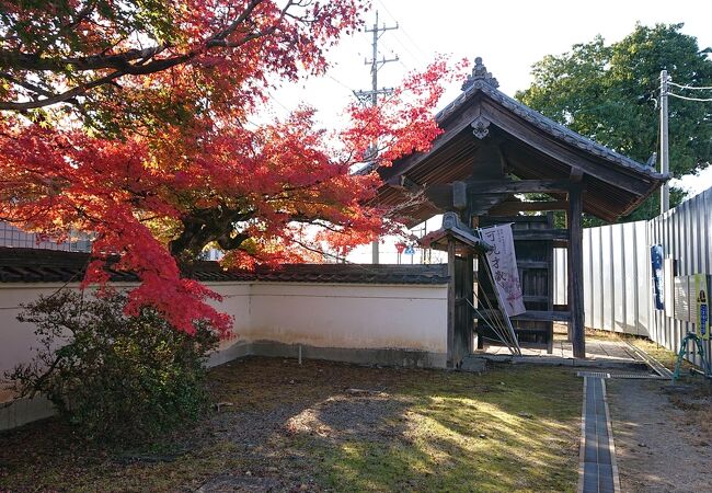 総門付近の紅葉が見事でした