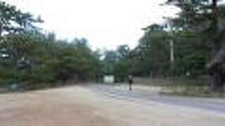 道の駅ことひきがある青松がきれいな海岸の公園