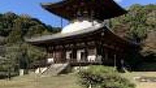 見ごたえあり！