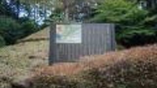 旧道から畑宿へ入るあたりに一里塚が有りました